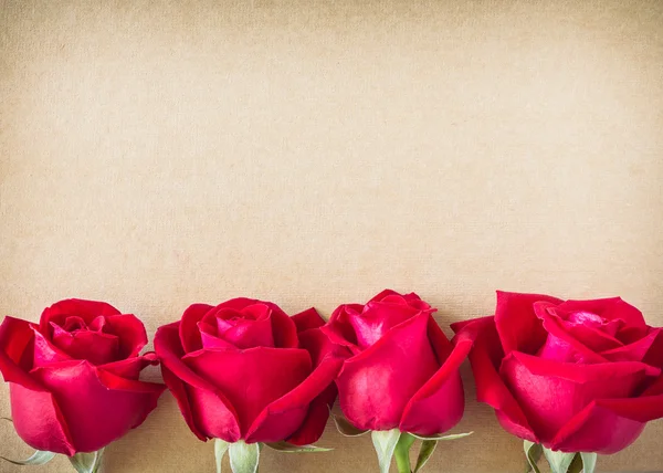 Flor de rosa vermelha na página de papel em branco para criativo sua mensagem te — Fotografia de Stock