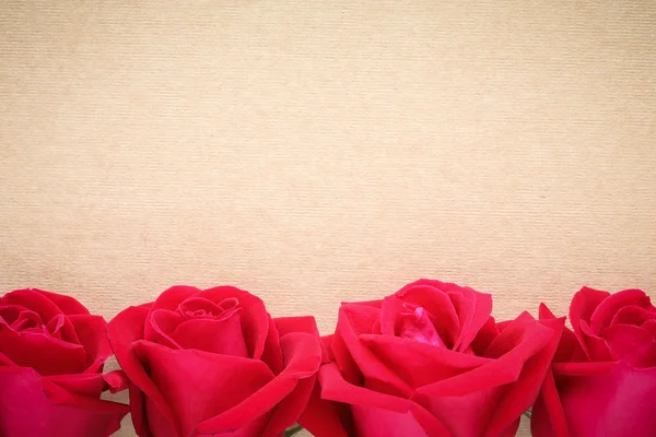 Rosa roja en la página de papel en blanco para creativo — Foto de Stock