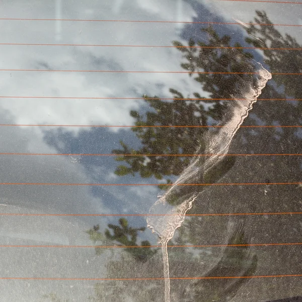 Dirty dust back glass of car — Stock Photo, Image