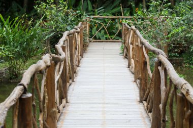 Yeşil doğa Bahçe ahşap yürüme yolu