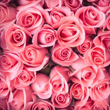 pembe Gül çiçek buketi antika arka plan