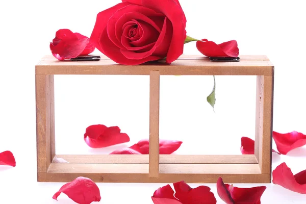 Trä hylla dekorerad med röd ros blommor isolerade — Stockfoto
