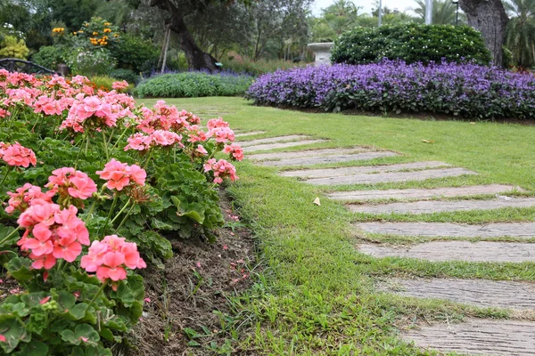 Paisaje de jardinería floral con camino en jardín —  Fotos de Stock