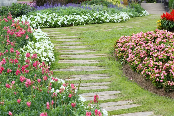 Краєвид квіткового садівництва з доріжкою в саду — стокове фото