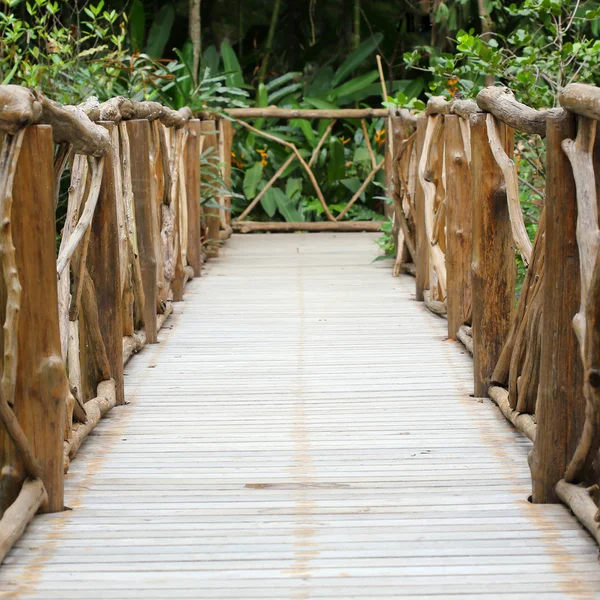 Pasarela de madera en jardín verde de la naturaleza — Foto de Stock