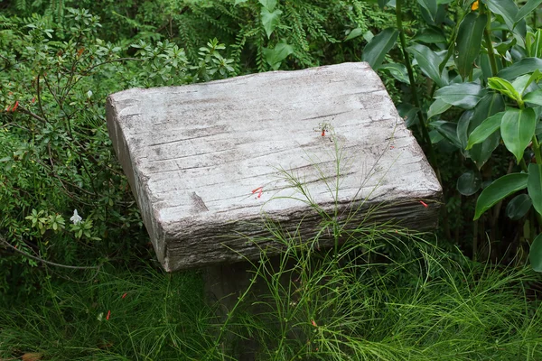 Lege sokkel cement steen in groene tuin — Stockfoto