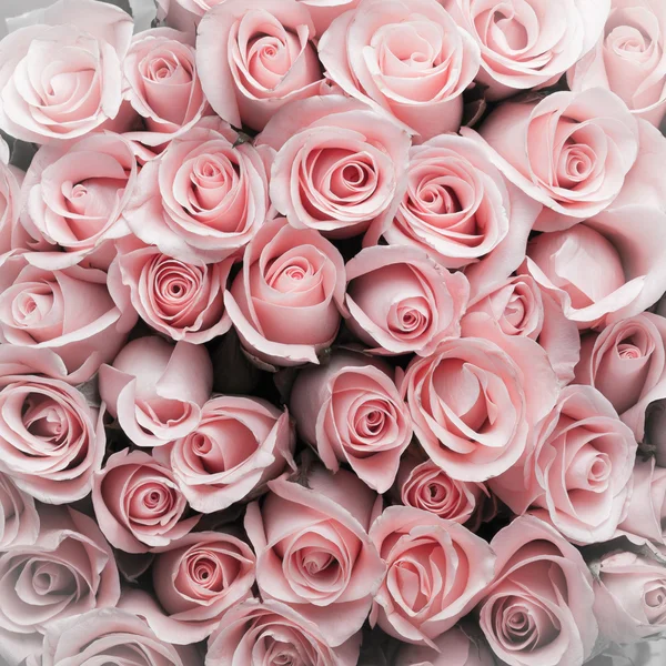 Rosa ramo de flores vintage fondo — Foto de Stock
