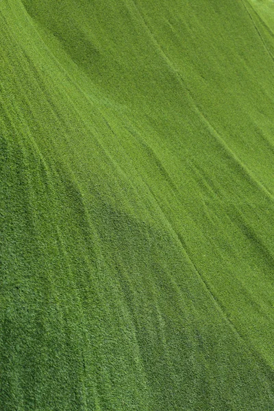 Astratto erba texture sfondo, erba verde artificiale — Foto Stock