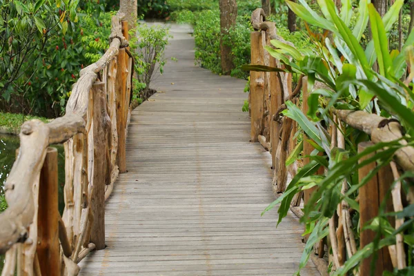 Wooden walkway in green nature garden — Stock Photo, Image