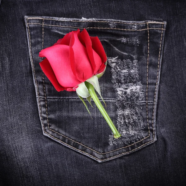 Fleur rose rouge sur jean noir texture denim — Photo