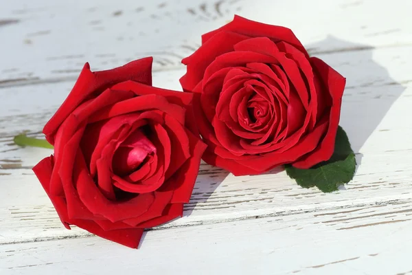 木製白地に赤いバラの花 — ストック写真