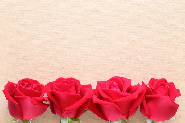 Flor de rosa vermelha na página de papel em branco para criativo — Fotografia de Stock