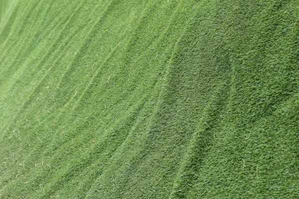 Abstrato grama textura fundo, grama verde artificial — Fotografia de Stock