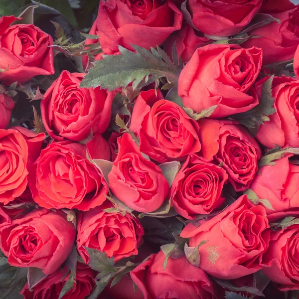 Rosa rossa bouquet di fiori vintage sfondo — Foto Stock