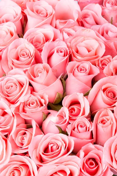 Rosa rosa ramo de flores fondo — Foto de Stock