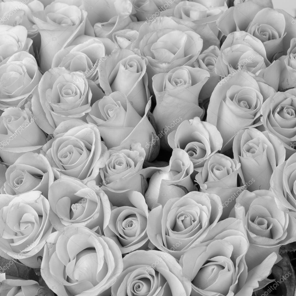 Fond De Rose Fleur Bouquet Noir Et Blanc Photographie