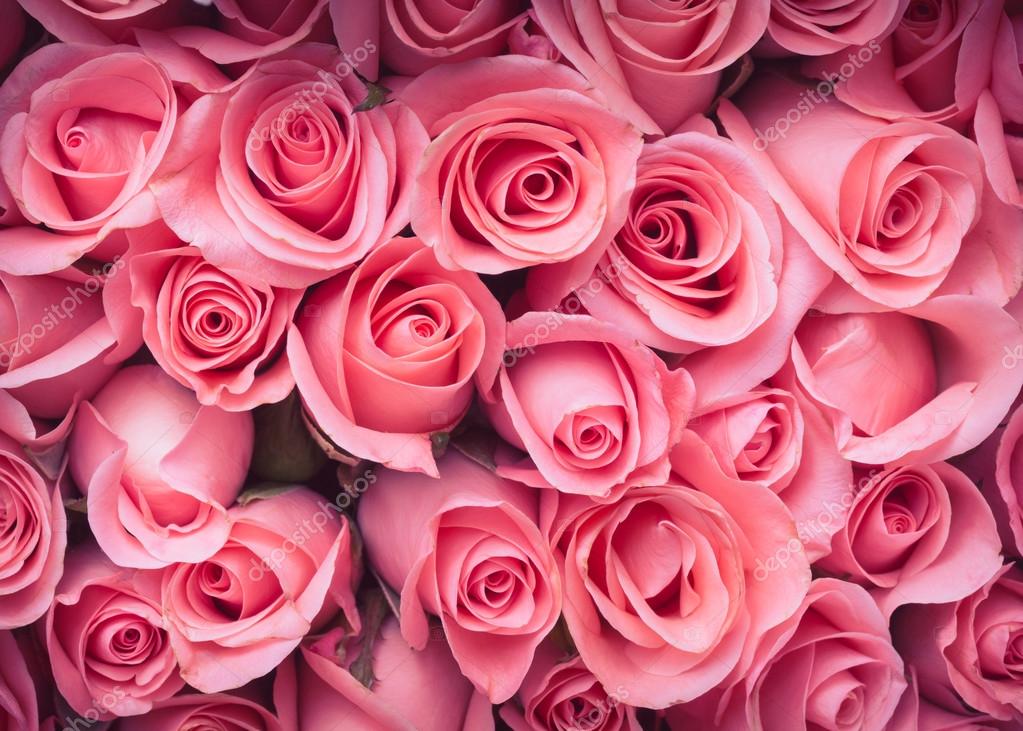 Pink Rose Flower Bouquet Vintage Background Stock Photo Sutichak