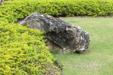 Bahçe taş dekorasyon
