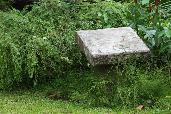 Lege sokkel cement steen in groene tuin — Stockfoto