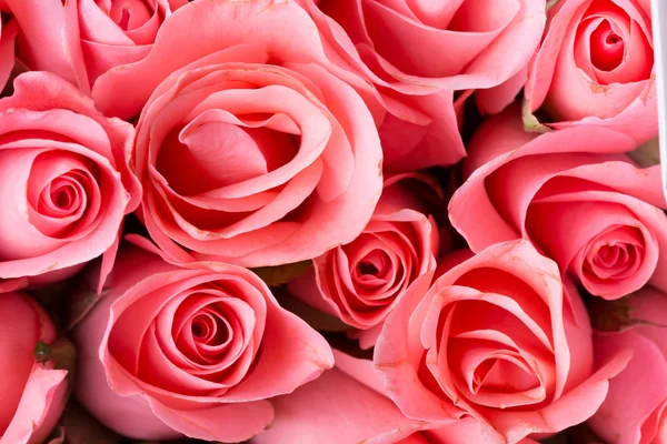 Rosa Rose Blumenstrauß Vintage Hintergrund — Stockfoto
