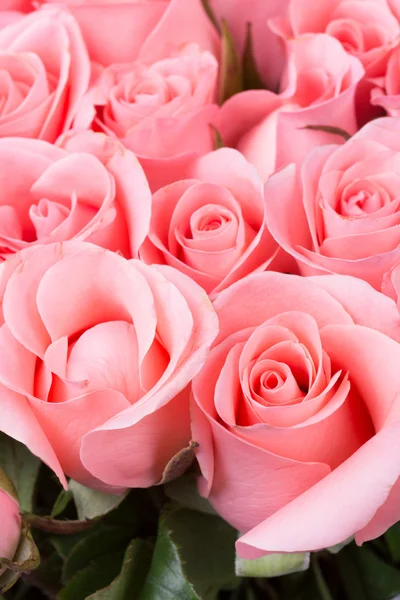 Pink rose flower bouquet background — Stock Photo, Image