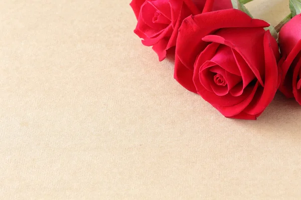 Rosa roja en la página de papel en blanco para creativo —  Fotos de Stock