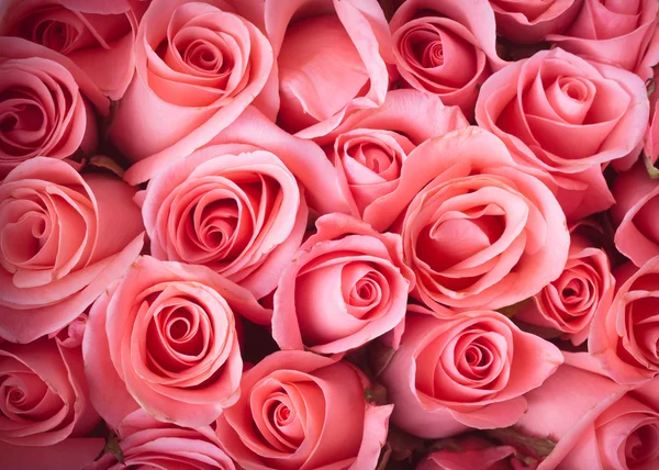 Różowy kwiat róża bukiet tło — Zdjęcie stockowe
