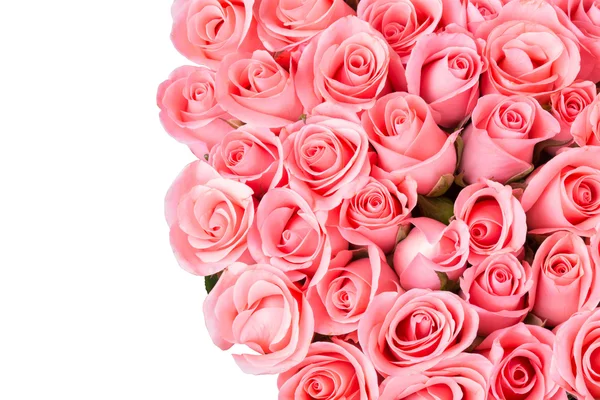 粉红玫瑰花束，白色背景 — 图库照片