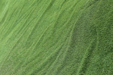 soyut ot doku arka plan, yapay yeşil çimen