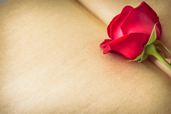 Rote Rose Blume auf leerer Papierseite zur Gestaltung — Stockfoto