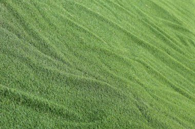 soyut ot doku arka plan, yapay yeşil çimen