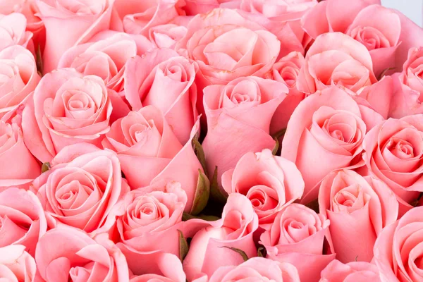 Rosa Rose Blumenstrauß Hintergrund — Stockfoto
