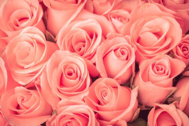 turuncu gül çiçek buketi antika arka plan