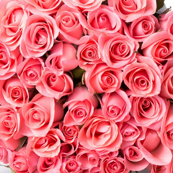 粉红玫瑰花束背景 — 图库照片