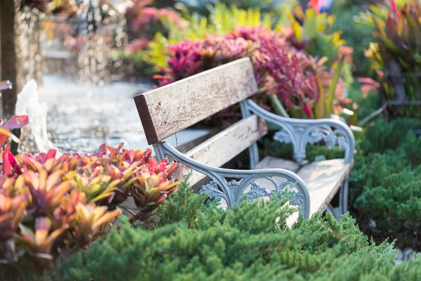 Old vintage bench in flowers garden — Stock Photo, Image