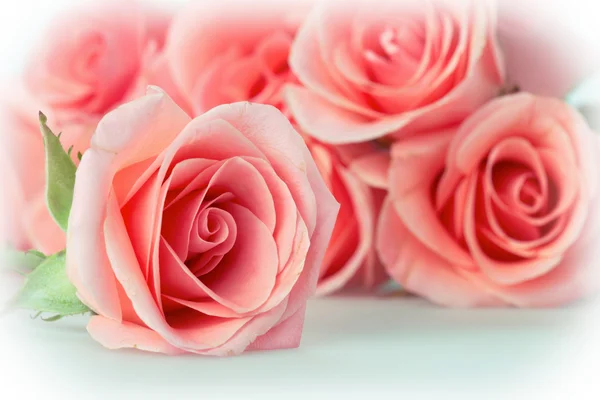 Rosa buquê de flores fundo vintage — Fotografia de Stock