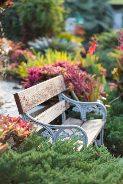 Vieux banc vintage dans jardin de fleurs — Photo