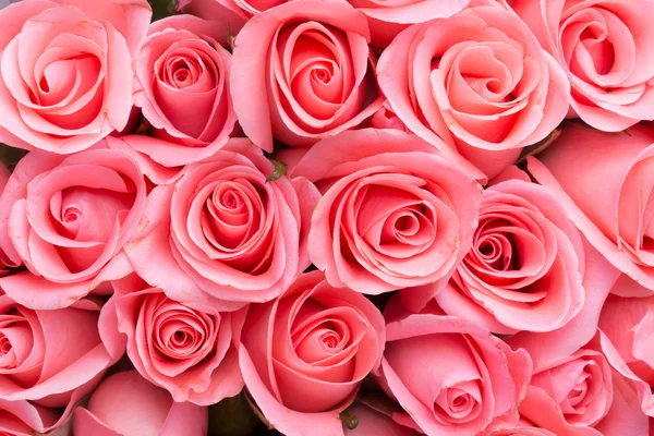 Rosa Rose Blumenstrauß Hintergrund — Stockfoto