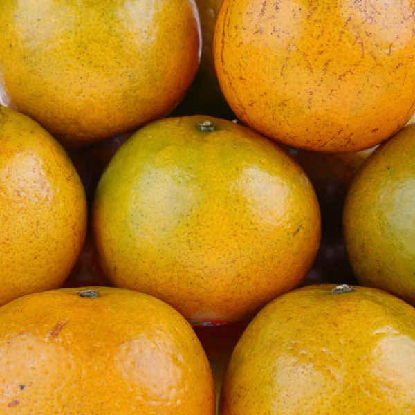 Imagem de perda de laranjas de grupo fruto tropical — Fotografia de Stock