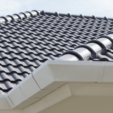 evin çatı üstüne Beyaz Cilt payı