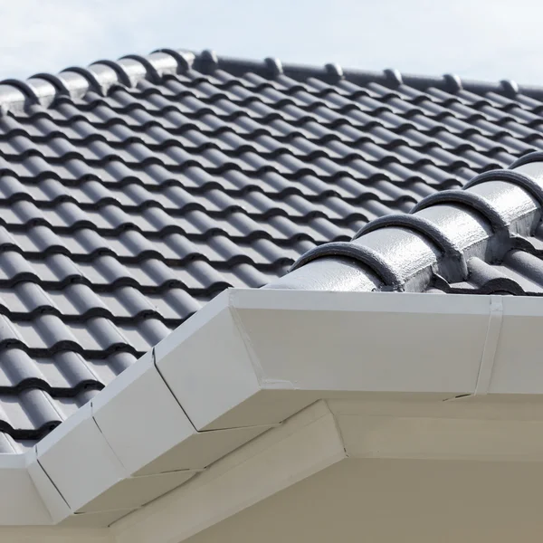 evin çatı üstüne Beyaz Cilt payı