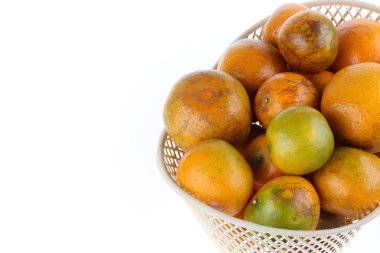 Beyaz arka plan üzerinde izole turuncu meyve sepeti,