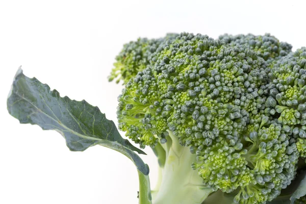 Vegetal de brócoli verde aislado —  Fotos de Stock