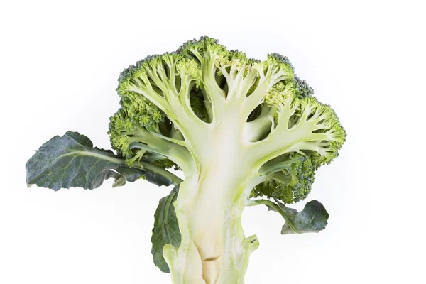 Zelené brokolice zelenina izolované — Stock fotografie