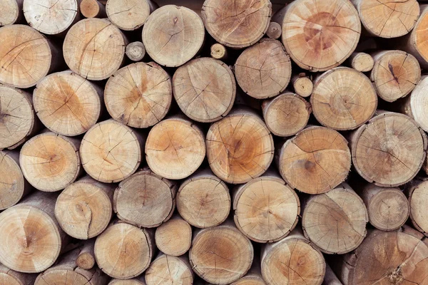 Pile de stockage de grumes de bois pour l'industrie — Photo