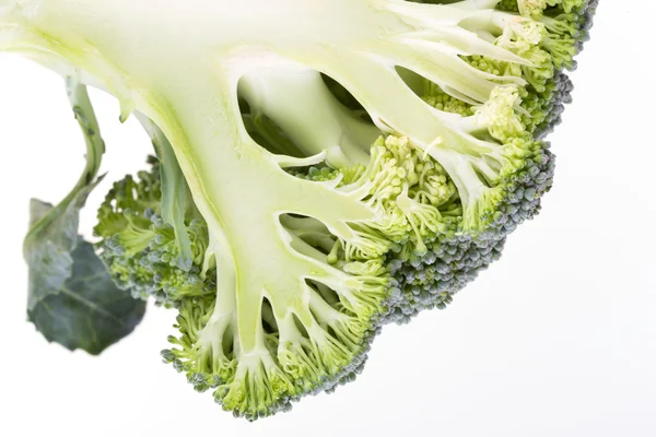 Brokkoli zöld növényi, elszigetelt — Stock Fotó