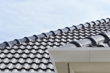 evin çatı üstüne Beyaz Cilt payı