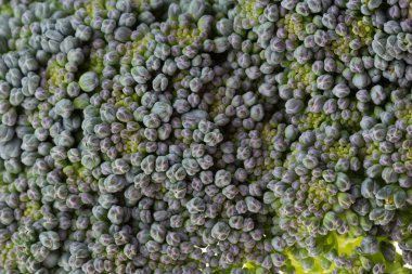 Yeşil brokoli organik sebze, görüntü yakından