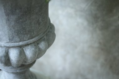 taş pot bitki görüntü kadar kapatın