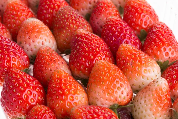 Erdbeere frische Früchte — Stockfoto